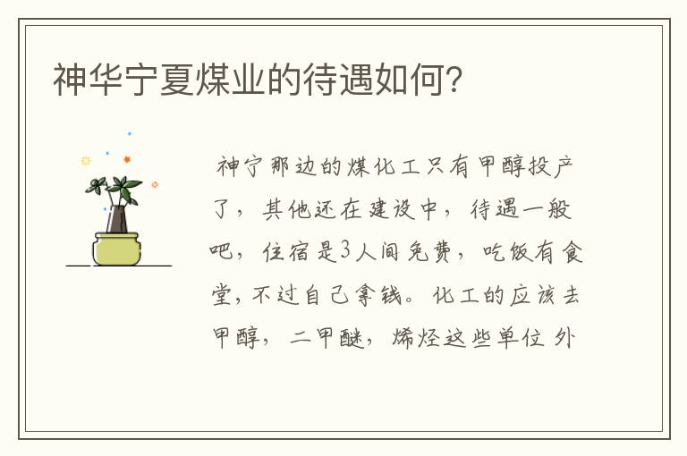 神华宁夏煤业的待遇如何?