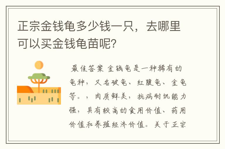 正宗金钱龟多少钱一只,去哪里可以买金钱龟苗呢?