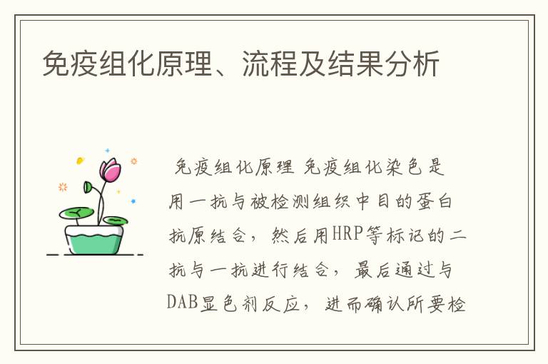 免疫组化原理、流程及结果分析