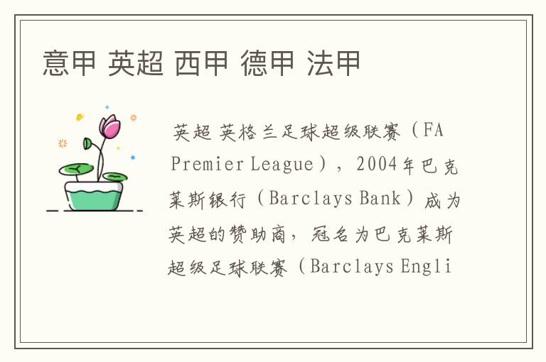 意甲 英超 西甲 德甲 法甲