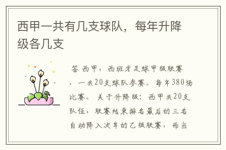 西甲一共有几支球队,每年升降级各几支