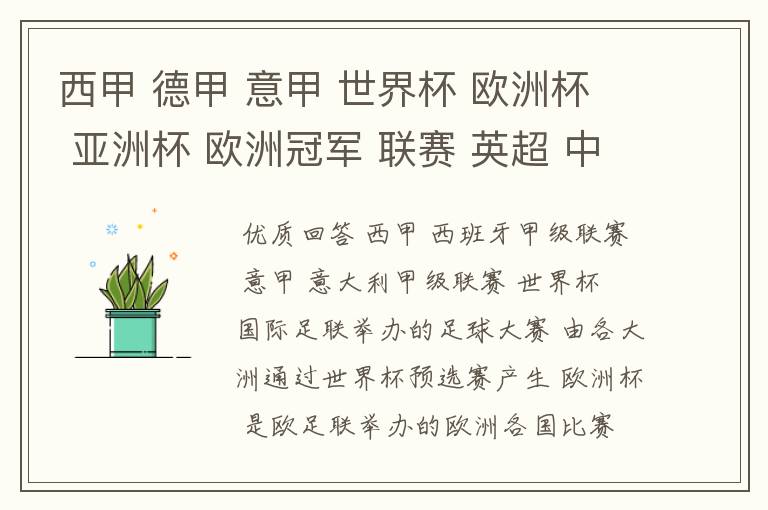 西甲 德甲 意甲 世界杯 欧洲杯 亚洲杯 欧洲冠军 联赛 英超 中超 分别是什么意思啊?