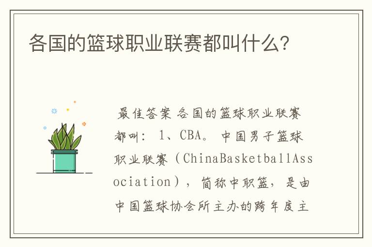各国的篮球职业联赛都叫什么?