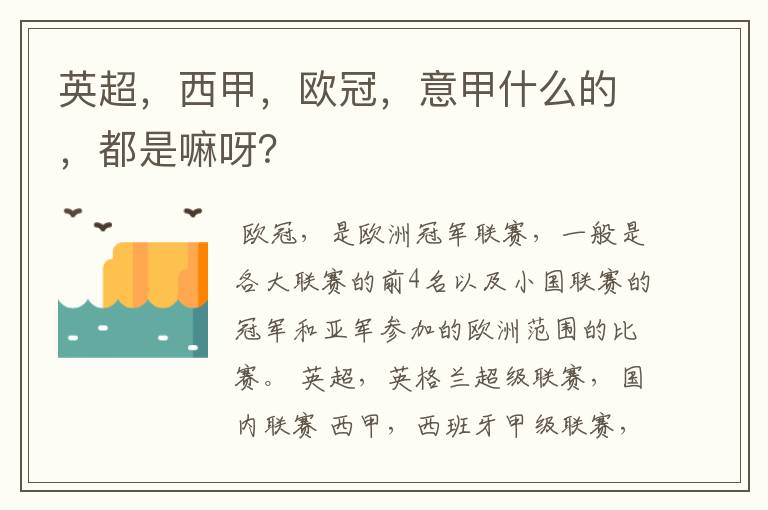英超,西甲,欧冠,意甲什么的,都是嘛呀?