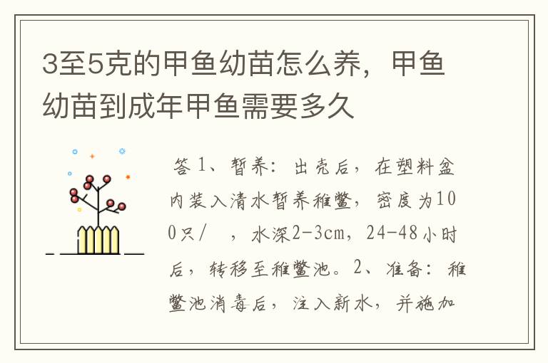 3至5克的甲鱼幼苗怎么养,甲鱼幼苗到成年甲鱼需要多久