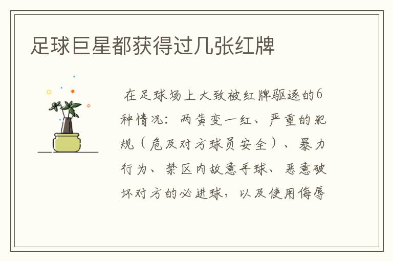 足球巨星都获得过几张红牌