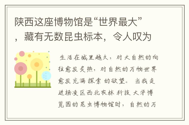 陕西这座博物馆是“世界最大”,藏有无数昆虫标本,令人叹为观止