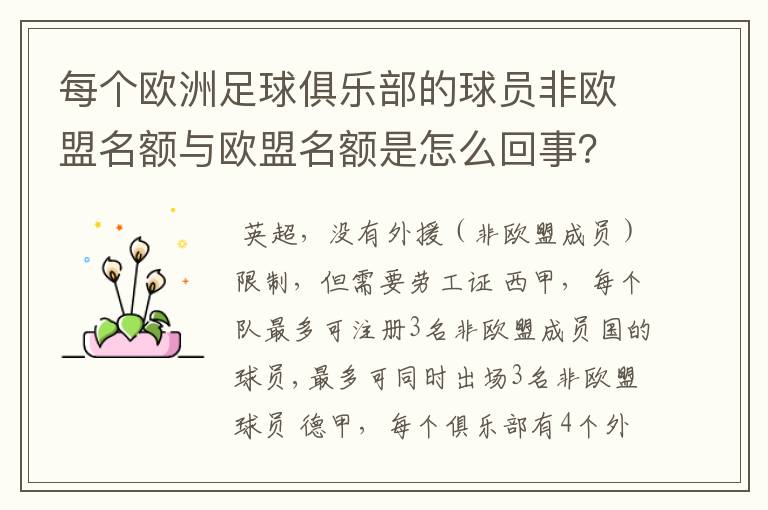 每个欧洲足球俱乐部的球员非欧盟名额与欧盟名额是怎么回事?