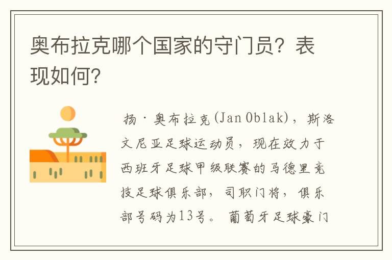 奥布拉克哪个国家的守门员?表现如何?