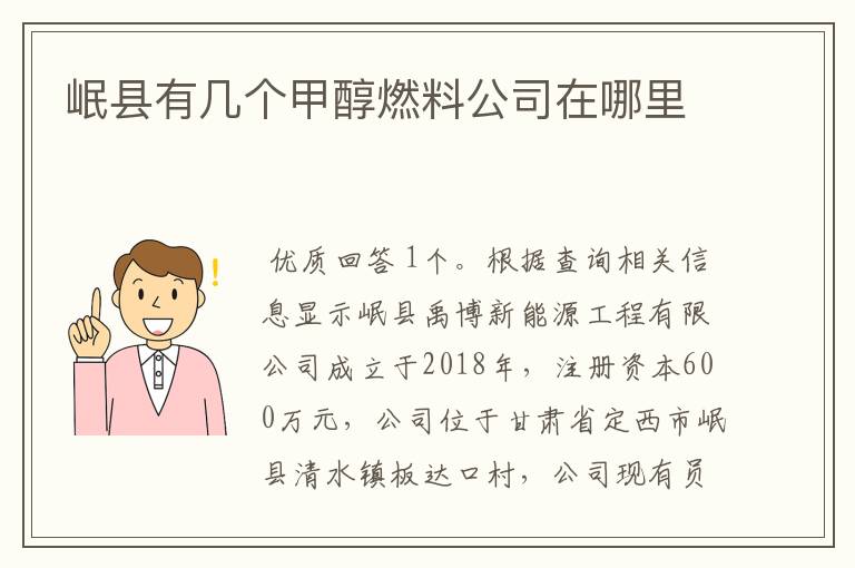 岷县有几个甲醇燃料公司在哪里