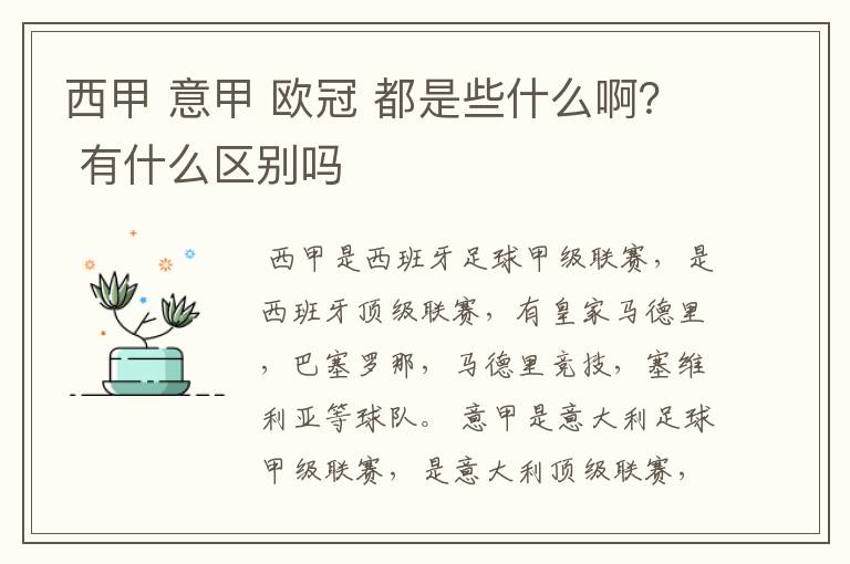 西甲 意甲 欧冠 都是些什么啊? 有什么区别吗
