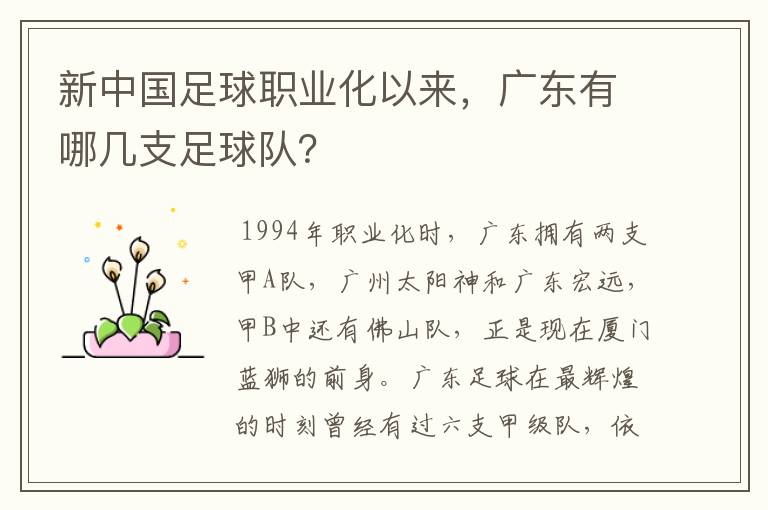 新中国足球职业化以来,广东有哪几支足球队?