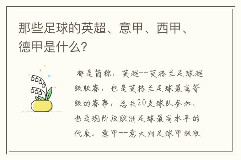 那些足球的英超、意甲、西甲、德甲是什么?