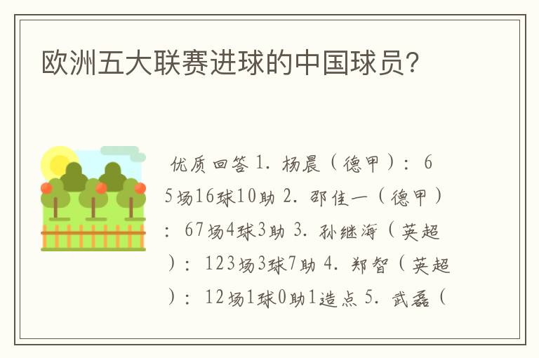欧洲五大联赛进球的中国球员?