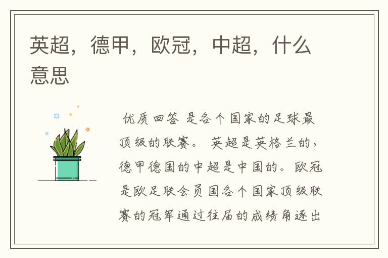 英超,德甲,欧冠,中超,什么意思