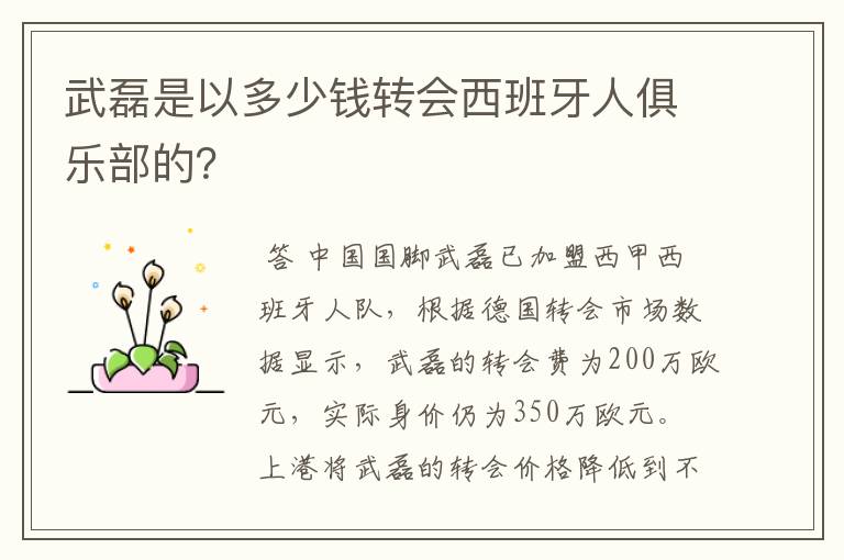 武磊是以多少钱转会西班牙人俱乐部的?