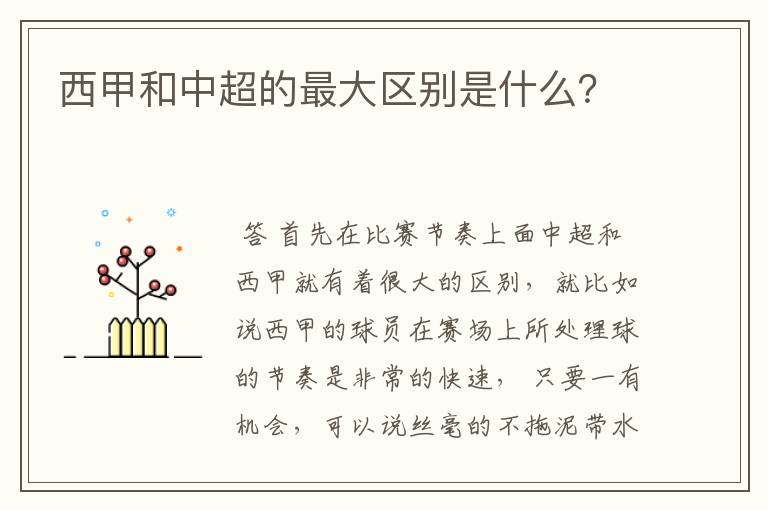 西甲和中超的最大区别是什么?