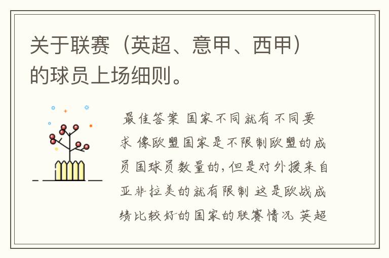 关于联赛(英超、意甲、西甲)的球员上场细则。