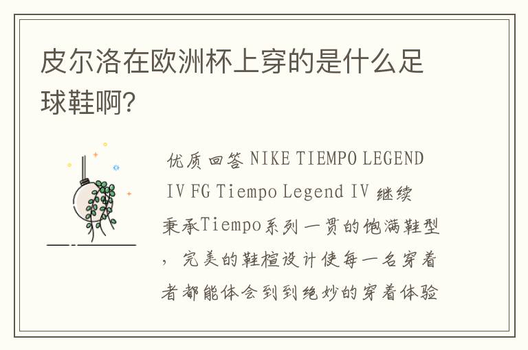 皮尔洛在欧洲杯上穿的是什么足球鞋啊?