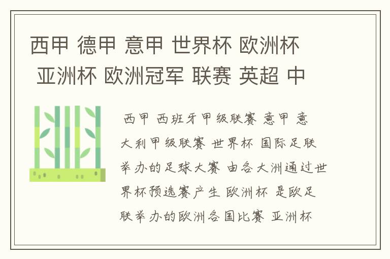 西甲 德甲 意甲 世界杯 欧洲杯 亚洲杯 欧洲冠军 联赛 英超 中超 分别是什么意思啊?