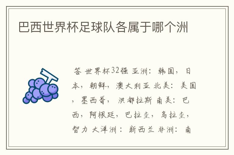 巴西世界杯足球队各属于哪个洲