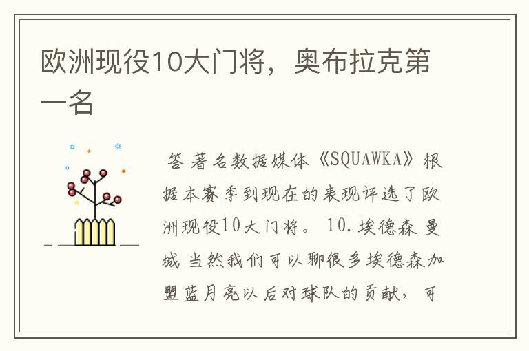 欧洲现役10大门将,奥布拉克第一名