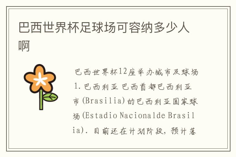 巴西世界杯足球场可容纳多少人啊