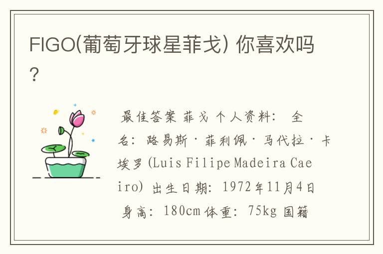 FIGO(葡萄牙球星菲戈) 你喜欢吗?