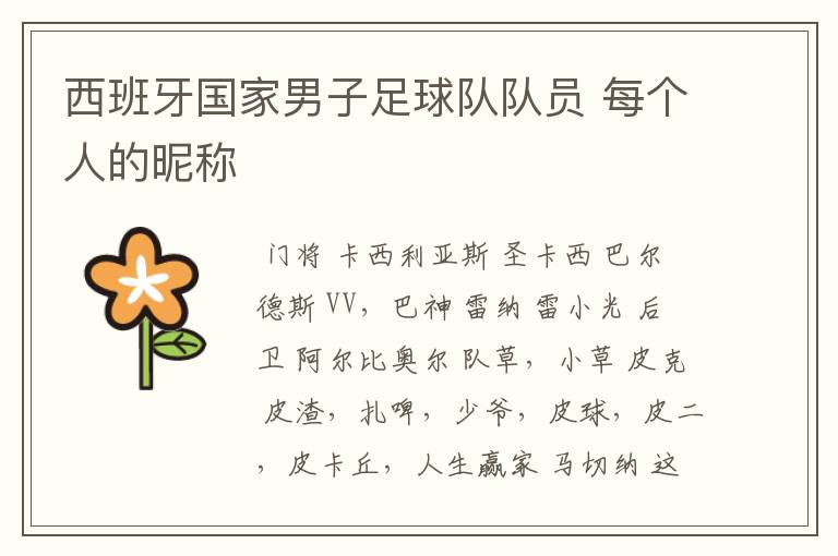 西班牙国家男子足球队队员 每个人的昵称