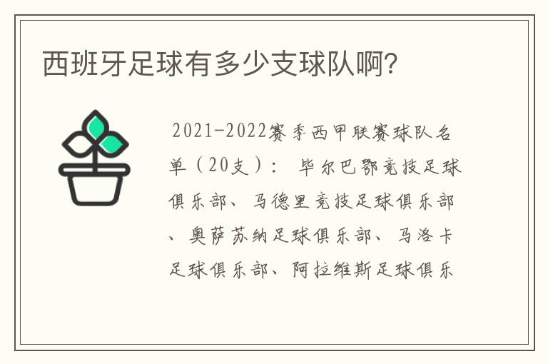 西班牙足球有多少支球队啊?