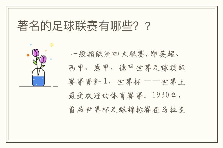 著名的足球联赛有哪些??