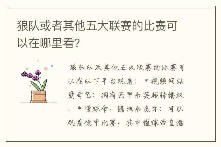 狼队或者其他五大联赛的比赛可以在哪里看?