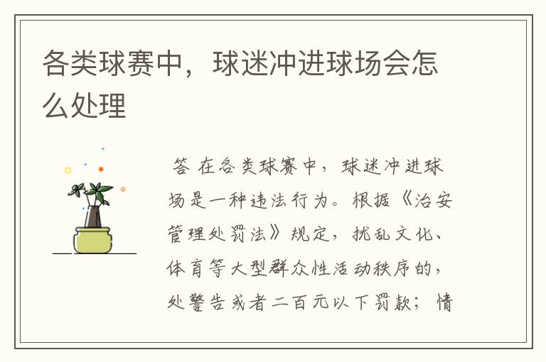 各类球赛中,球迷冲进球场会怎么处理