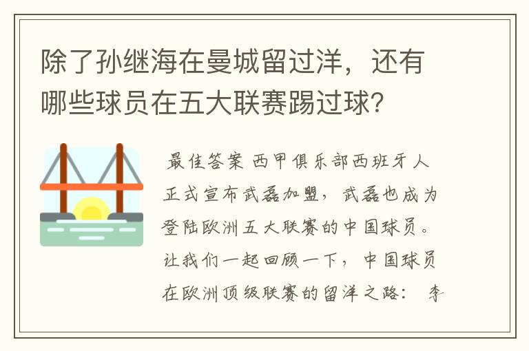 除了孙继海在曼城留过洋,还有哪些球员在五大联赛踢过球?