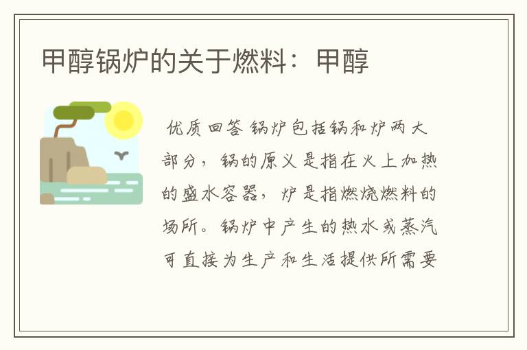 甲醇锅炉的关于燃料:甲醇