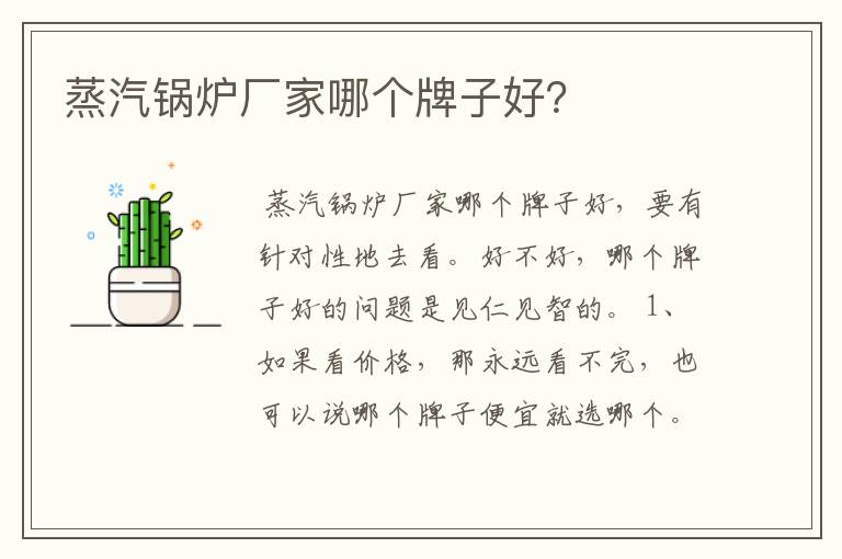 蒸汽锅炉厂家哪个牌子好?