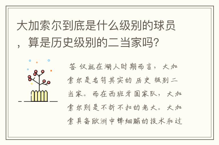 大加索尔到底是什么级别的球员,算是历史级别的二当家吗?