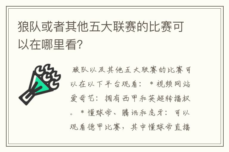 狼队或者其他五大联赛的比赛可以在哪里看?