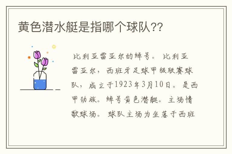黄色潜水艇是指哪个球队??