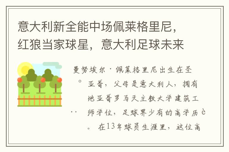 意大利新全能中场佩莱格里尼,红狼当家球星,意大利足球未来可期