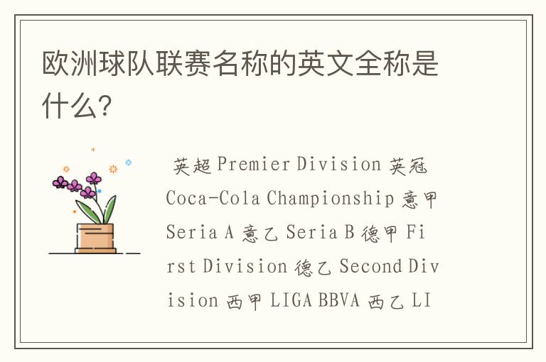 欧洲球队联赛名称的英文全称是什么?