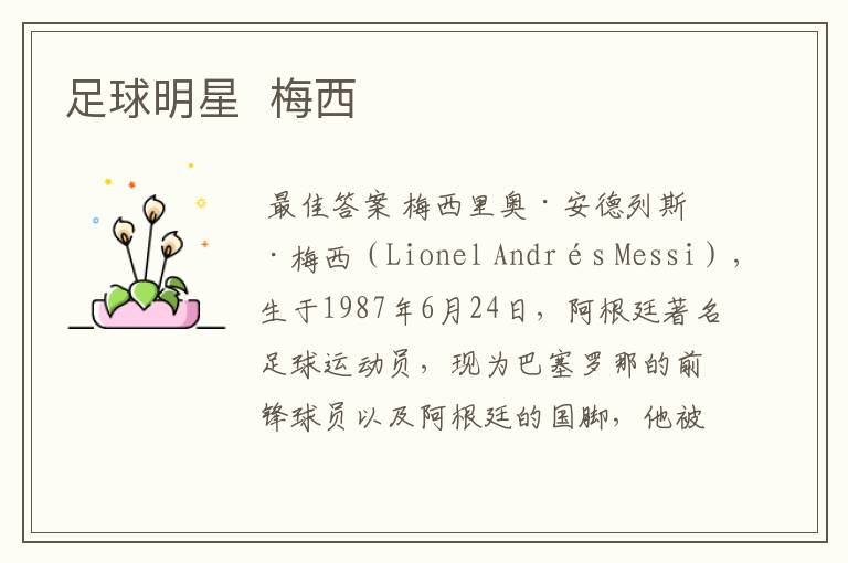 足球明星 梅西