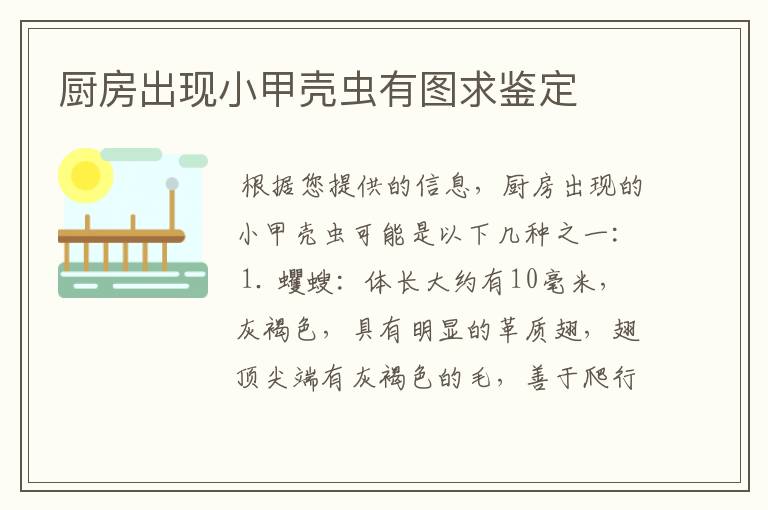 厨房出现小甲壳虫有图求鉴定