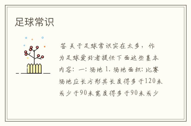 足球常识