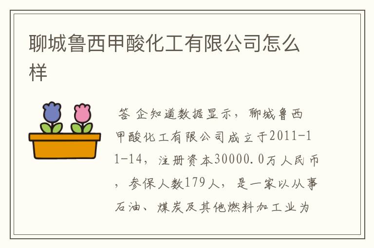 聊城鲁西甲酸化工有限公司怎么样