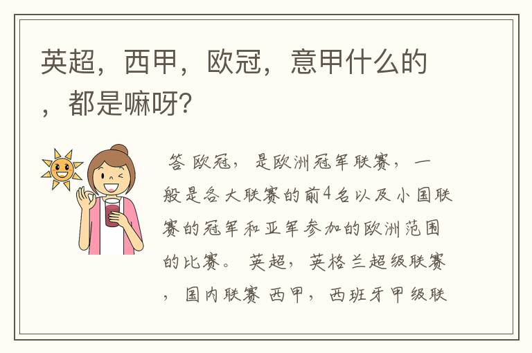 英超,西甲,欧冠,意甲什么的,都是嘛呀?