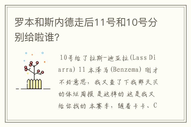罗本和斯内德走后11号和10号分别给啦谁?