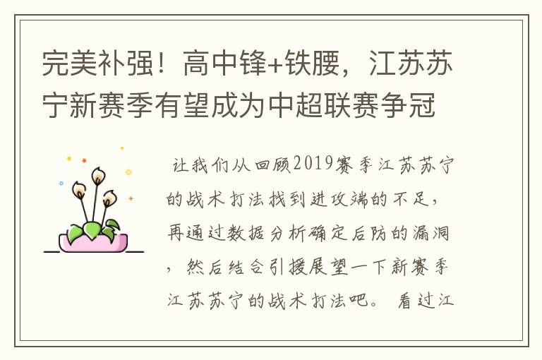 完美补强!高中锋+铁腰,江苏苏宁新赛季有望成为中超联赛争冠队