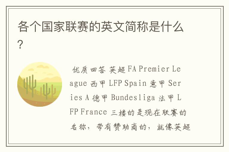 各个国家联赛的英文简称是什么?