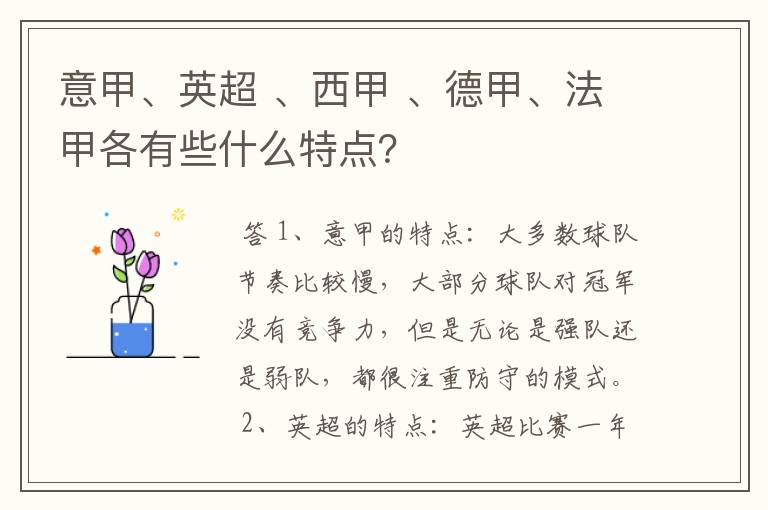 意甲、英超 、西甲 、德甲、法甲各有些什么特点?